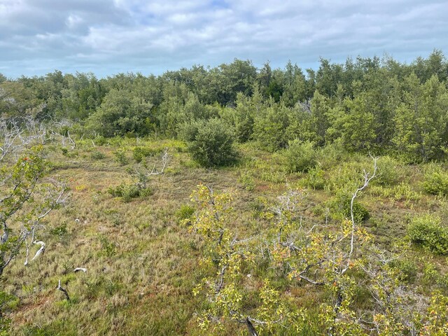 view of local wilderness with a wooded view