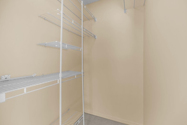 view of walk in closet