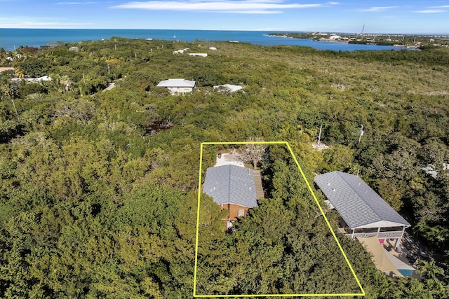 bird's eye view featuring a water view and a view of trees