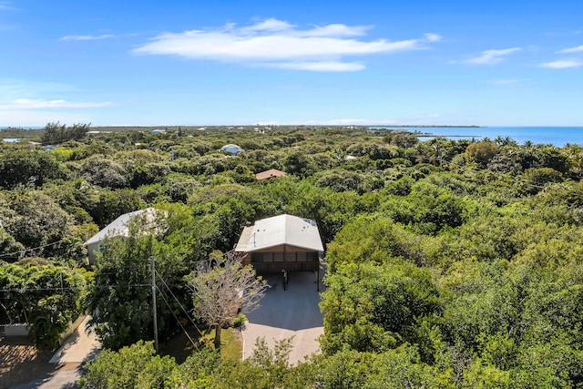 bird's eye view featuring a forest view