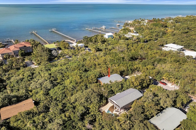 aerial view featuring a water view and a wooded view