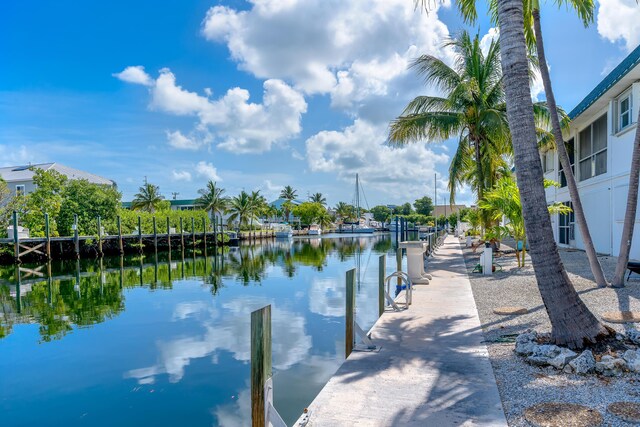 water view featuring a dock