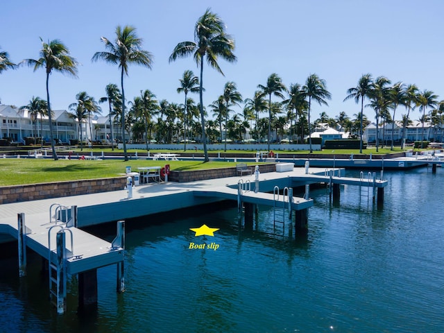 dock area with a water view