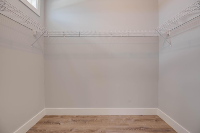 622 Diane Ave, Little Torch, FL 33042 - walk in closet with light wood-type flooring