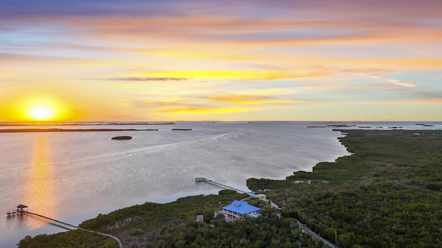 property view of water