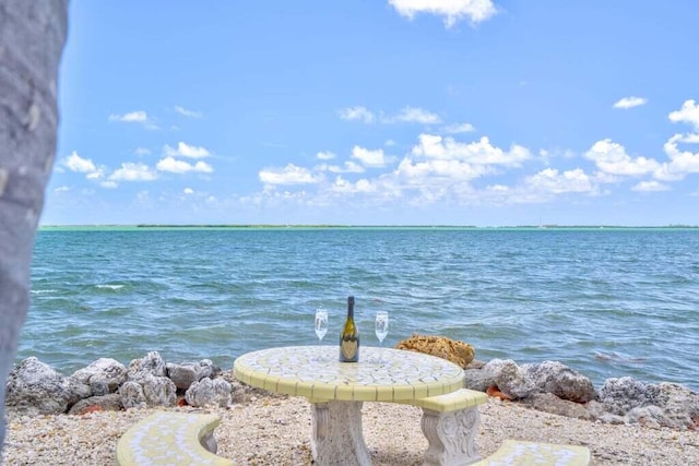 property view of water