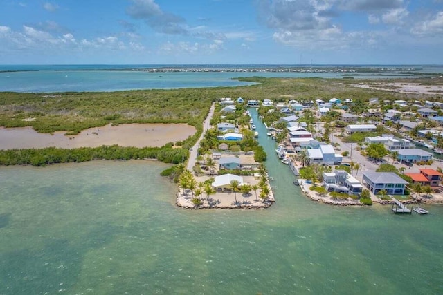 birds eye view of property with a residential view and a water view