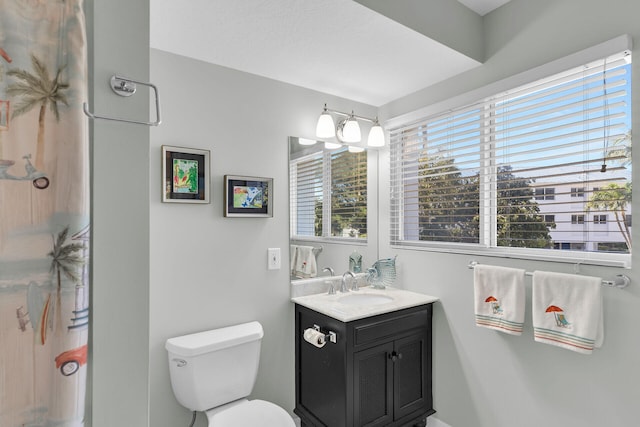 bathroom with toilet and vanity