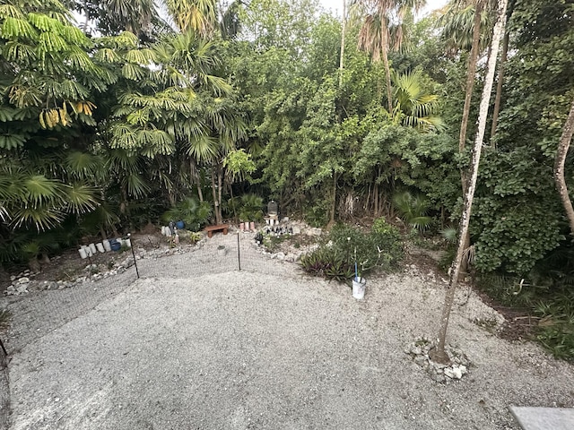 view of local wilderness
