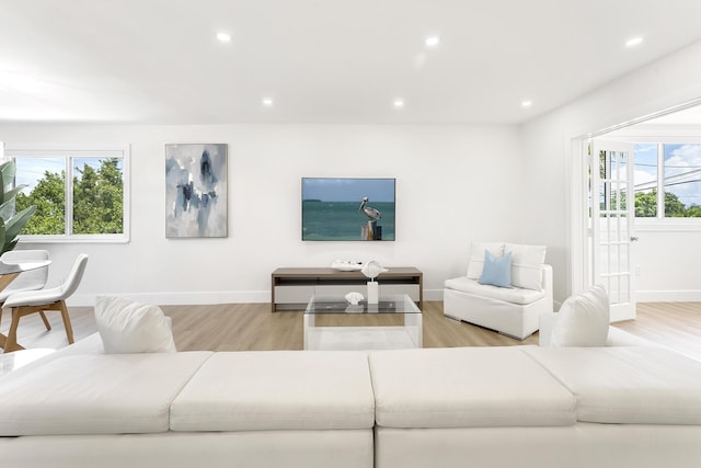 living area featuring a healthy amount of sunlight, light wood-type flooring, and recessed lighting