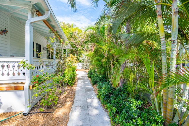 1202 Whitehead St, Key West, FL 33040 - photo 26