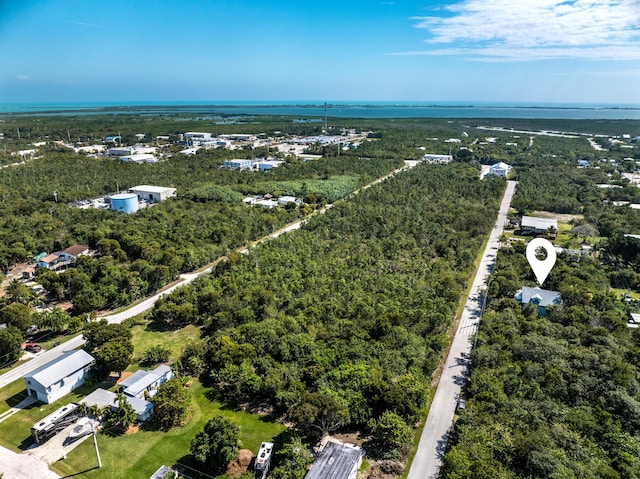 bird's eye view with a view of trees