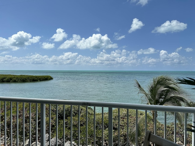 property view of water