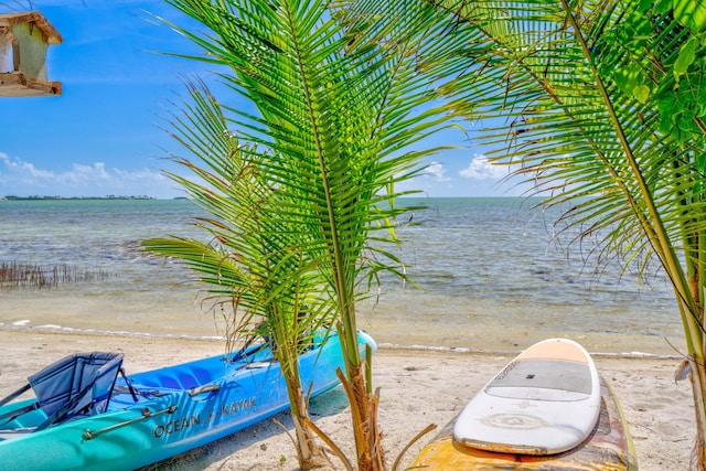 water view with a view of the beach