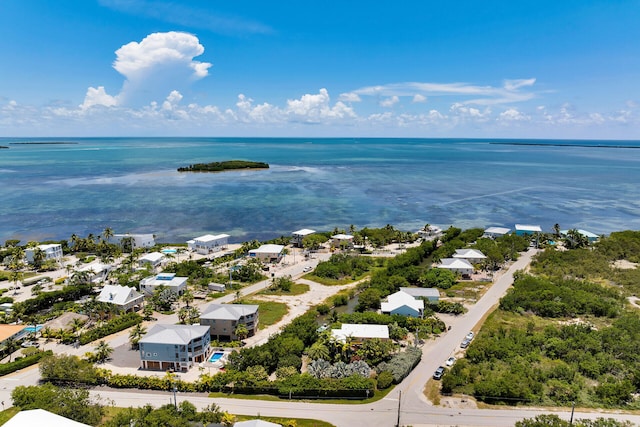 1117 Basque Ln, Cudjoe, FL 33042 - photo 31