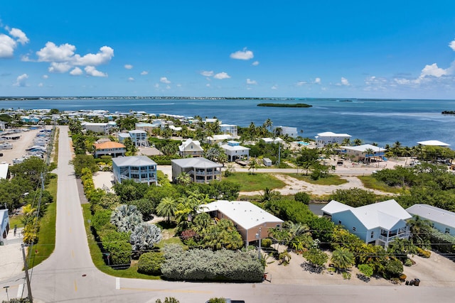 1117 Basque Ln, Cudjoe, FL 33042 - photo 34
