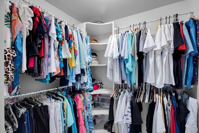 view of walk in closet