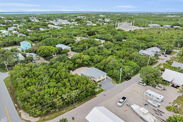 31042 Hibiscus Dr, Big Pine, FL 33043 - photo 4