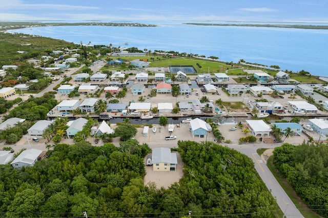 31042 Hibiscus Dr, Big Pine, FL 33043 - photo 33