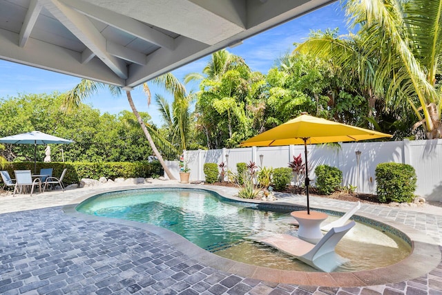 835 70th St, Gulf, Marathon, FL 33050 - view of swimming pool with a patio, a fenced backyard, and view of scattered trees
