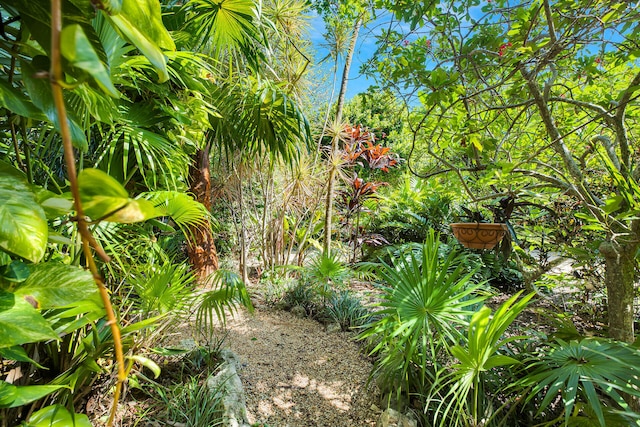 1615 Harbor Dr, Marathon, FL 33050 - photo 41