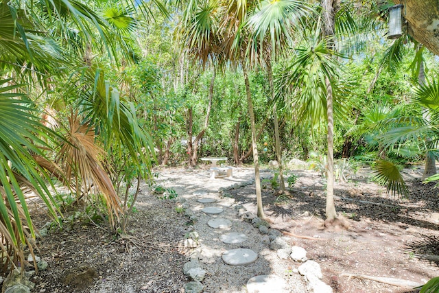 1615 Harbor Dr, Marathon, FL 33050 - photo 43