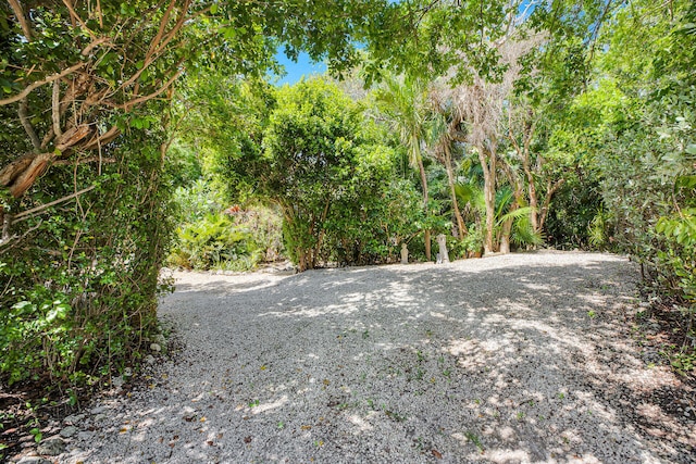 1615 Harbor Dr, Marathon, FL 33050 - photo 40