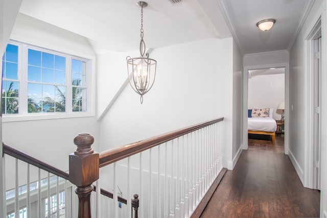 corridor featuring dark wood-style floors, a chandelier, and crown molding