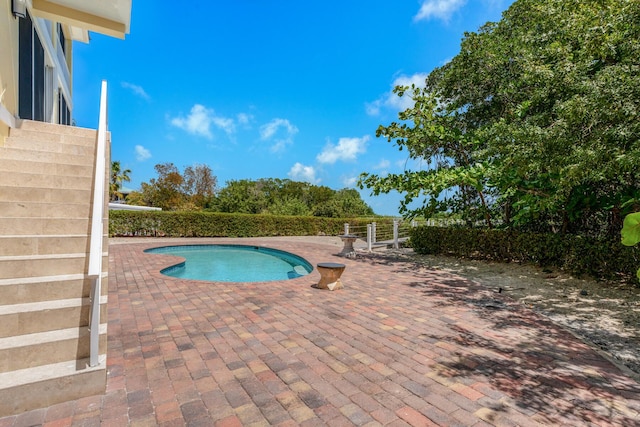 view of pool with a fenced in pool and a patio area
