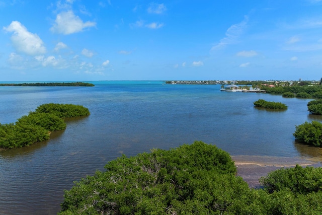 property view of water