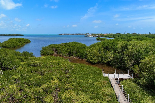 water view featuring a boat dock