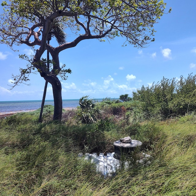 1W Cooks Is, Big Pine, FL 33043 - water view