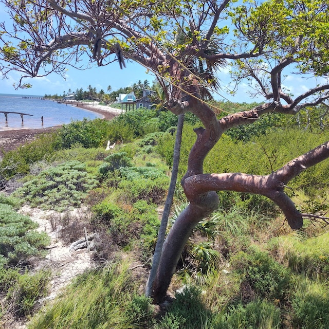 1W Cooks Is, Big Pine, FL 33043 - water view featuring local beach