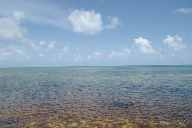 1W Cooks Is, Big Pine, FL 33043 - water view