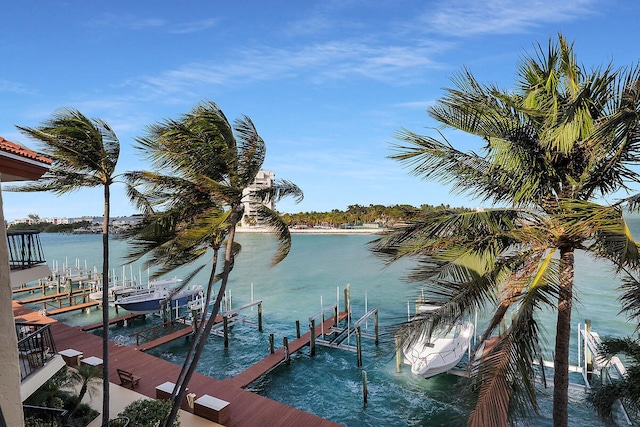 dock area featuring a water view and boat lift