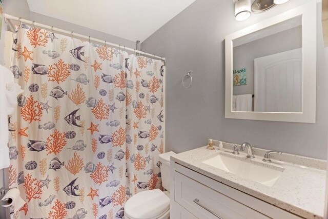 full bathroom with toilet, curtained shower, and vanity