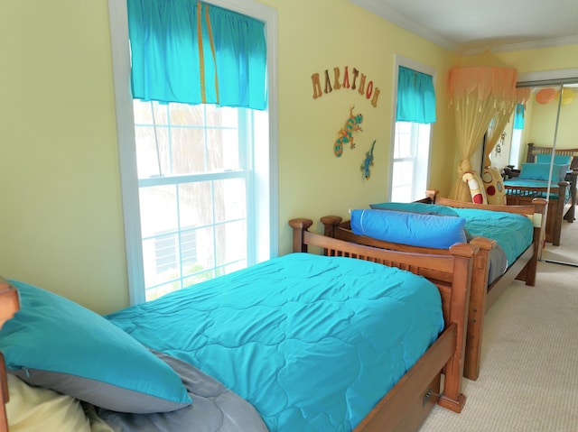 1590 Dolphin Dr, Marathon, FL 33050 - carpeted bedroom with a closet and ornamental molding