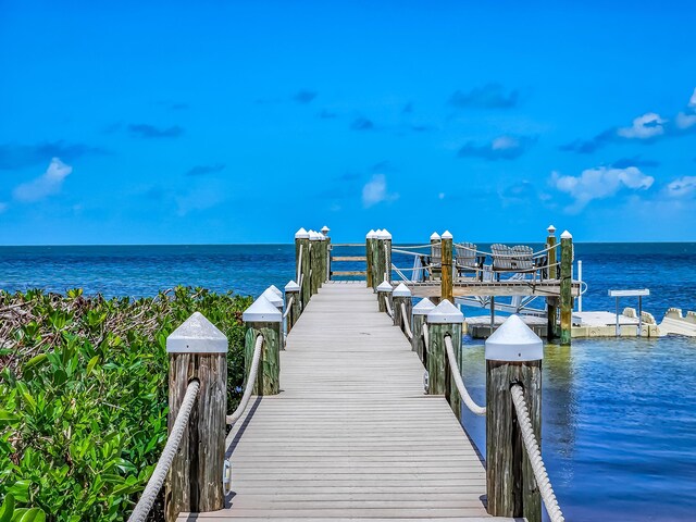 dock area featuring a water view