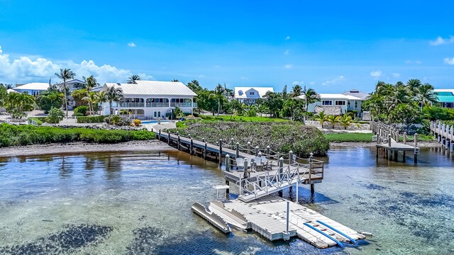 dock area with a water view