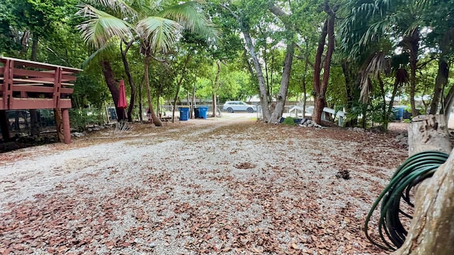 20 Park Rd, Islamorada, FL 33036 - view of yard