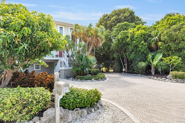 view of home's community with decorative driveway and stairs