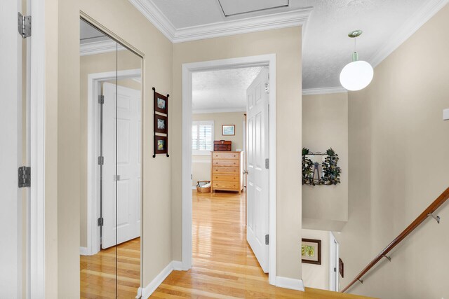 hallway with a textured ceiling, baseboards, light wood-type flooring, and ornamental molding