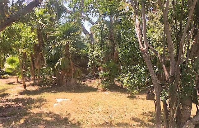 view of undeveloped land