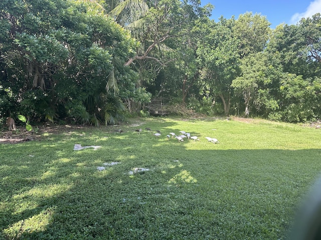 view of green lawn