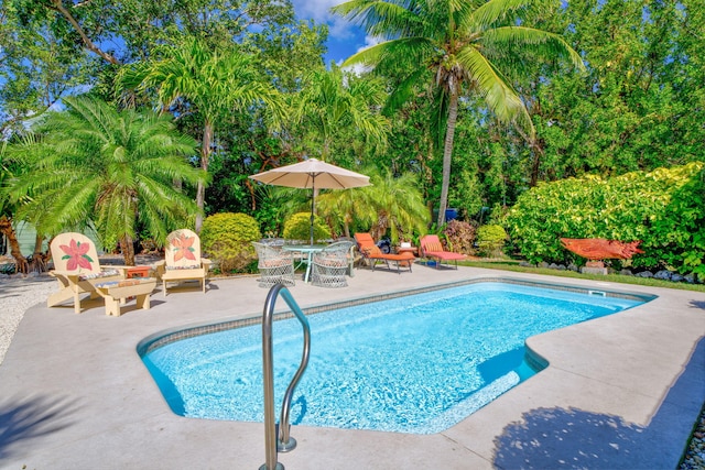 30985 Hibiscus Dr, Big Pine, FL 33043 - swimming pool with a patio area and view of scattered trees