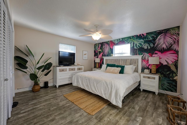 bedroom with an accent wall, multiple windows, dark wood finished floors, and wallpapered walls