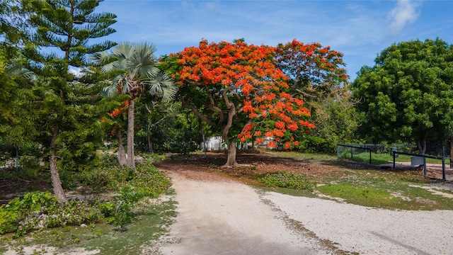 2231 Middle Torch Rd, Middle Torch, FL 33042