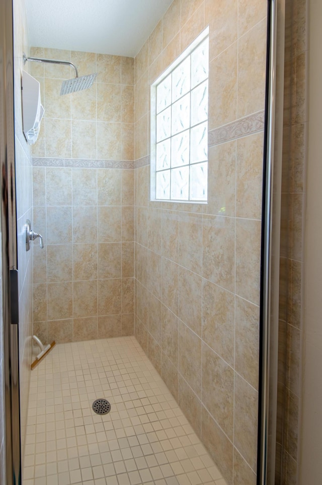 bathroom with a shower stall