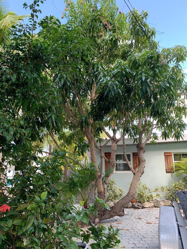 exterior space with stucco siding