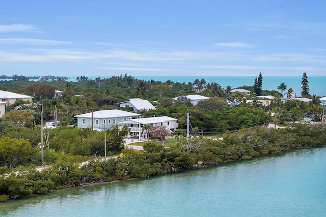 property view of water